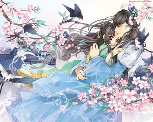 蘑菇tv官方网页版在线